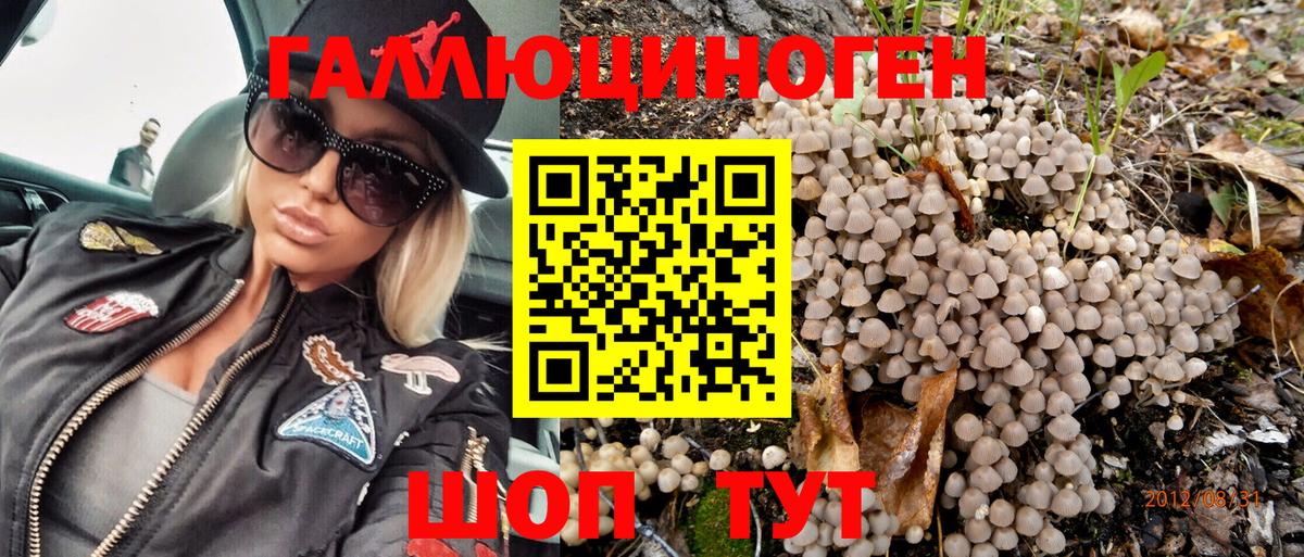 Галлюциногенные грибы MAGIC MUSHROOMS  Псилоцибиновые грибы GOLDEN TEACHER  Сафоново  Вход с VPN 